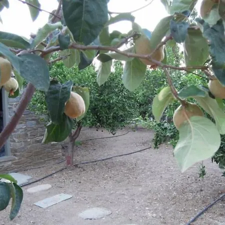 Apartment Neso Seafront Paros Parasporos